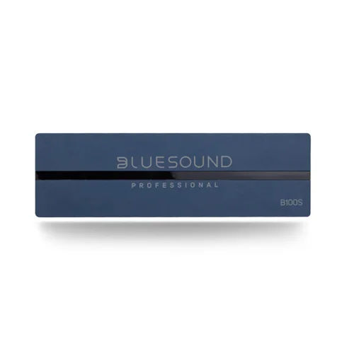 Streamer BLUESOUNDpro® B100S